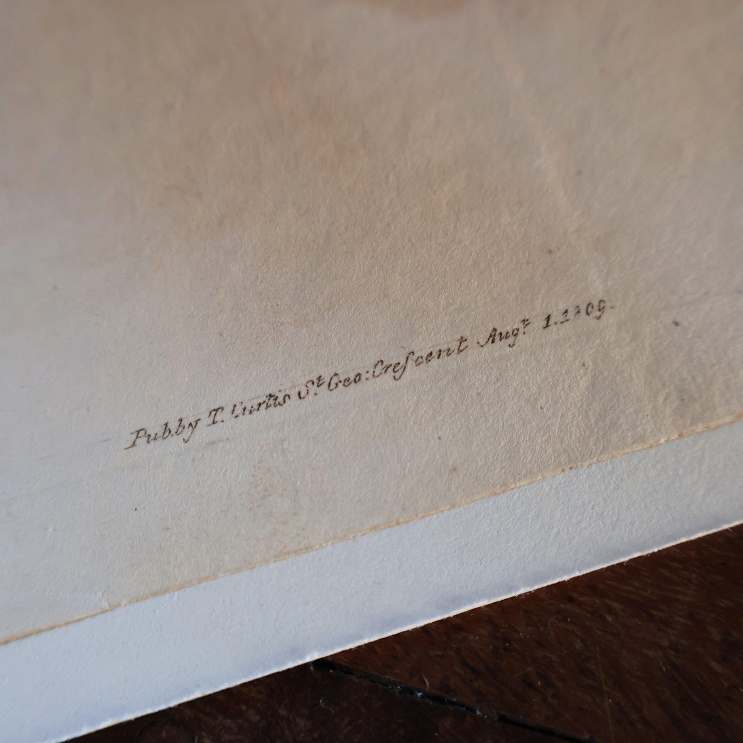 1808 Curtis Botanical Lithograph