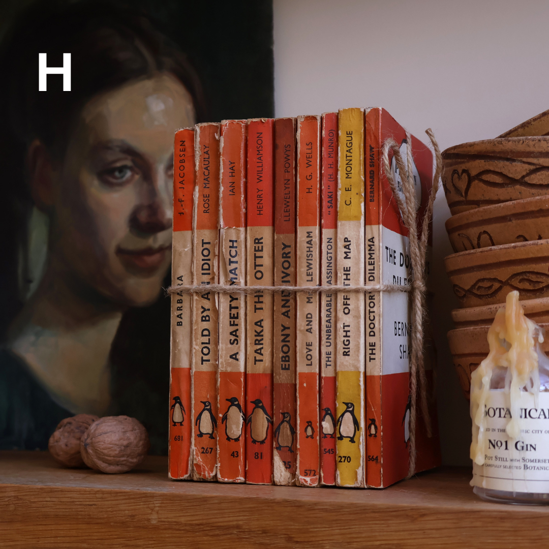 Vintage Penguin Book Bundles