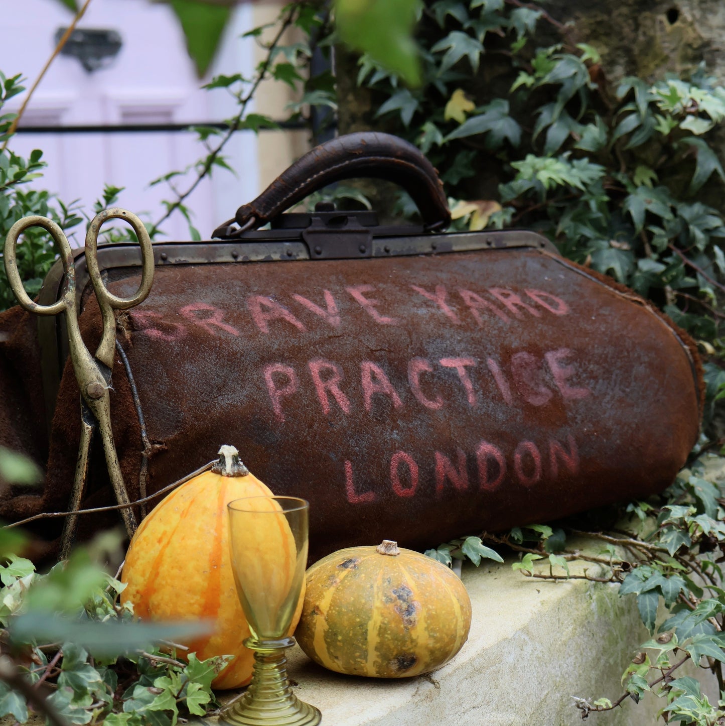 Antique Doctor’s Bag with Spooky Twist