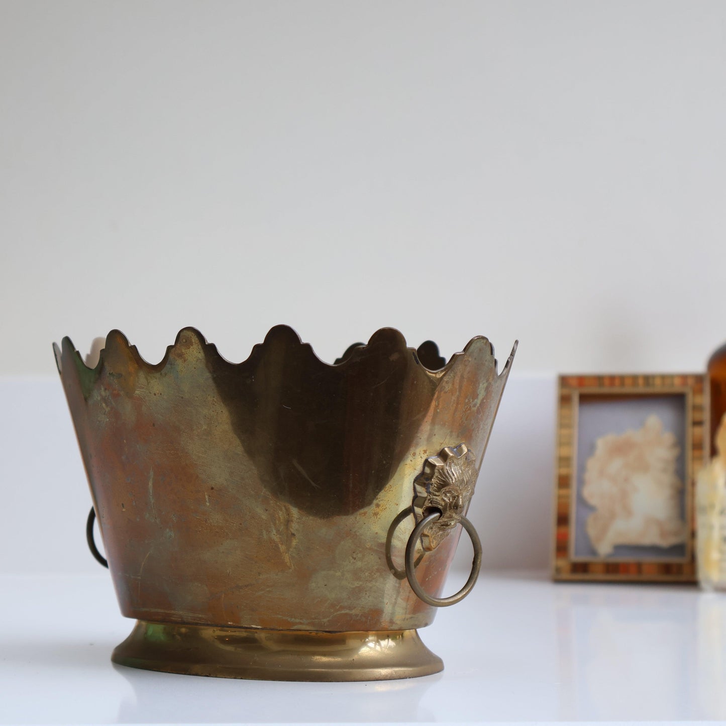 Brass Scallop Design Lion Planter