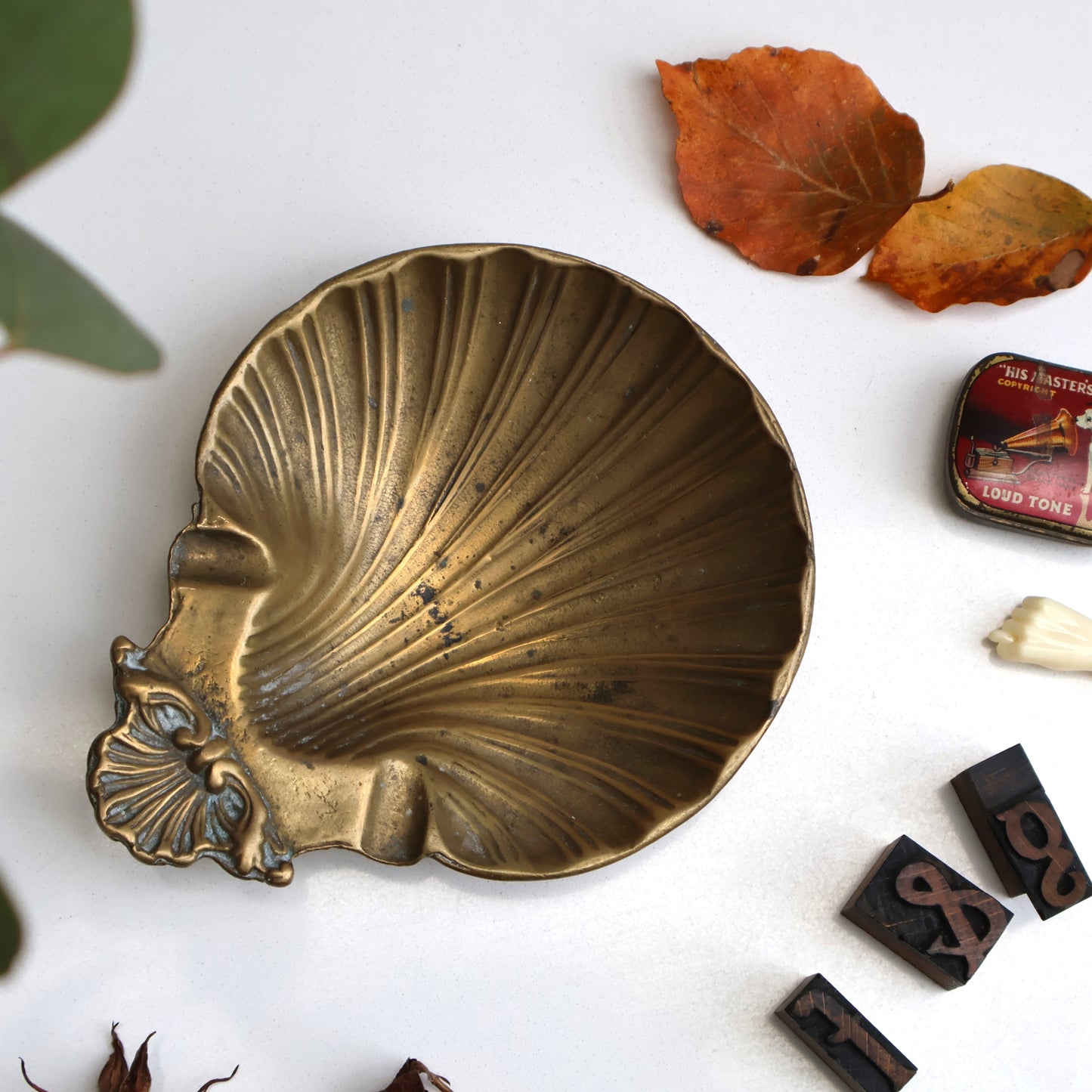 Brass Shell Dish