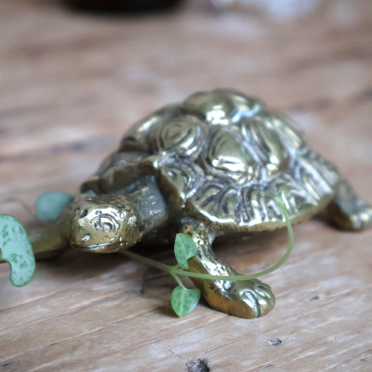 Brass Turtle Ornament