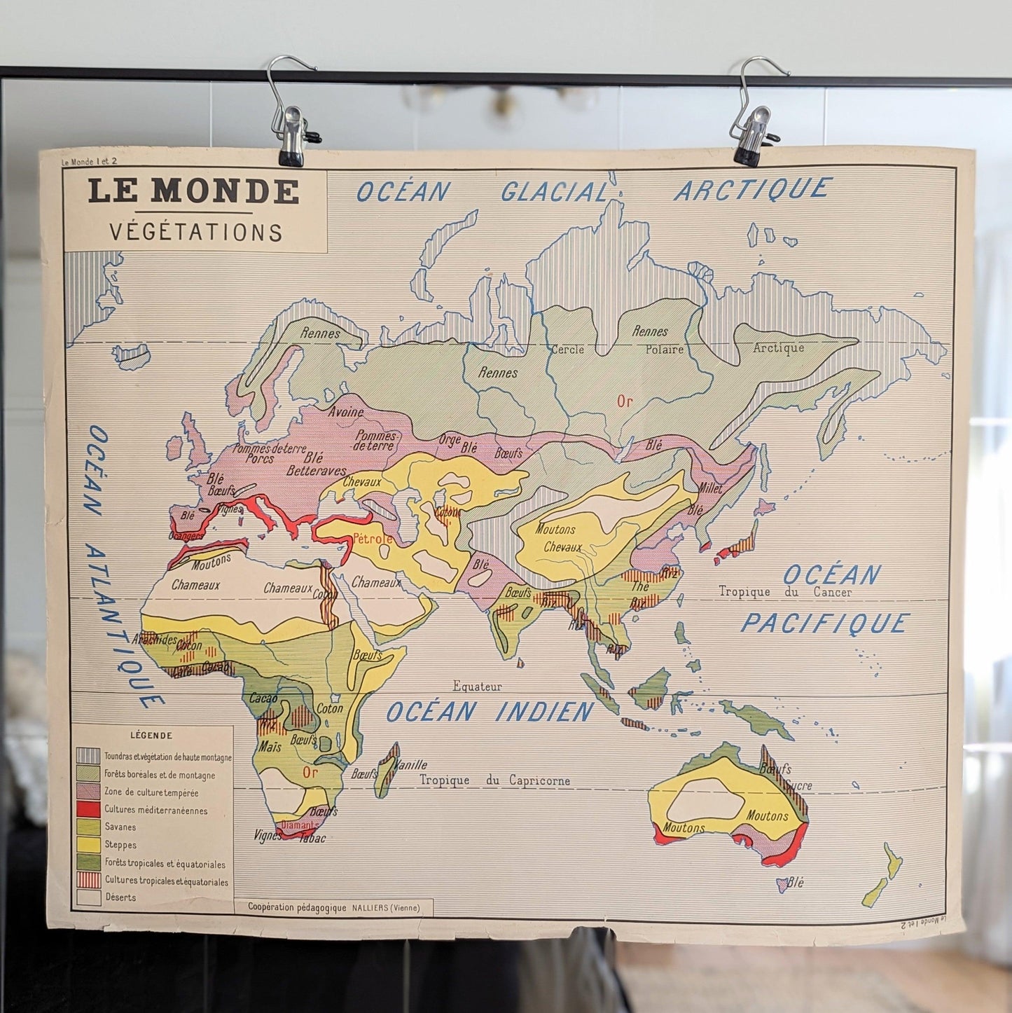 Vintage French Poster - World Vegetation