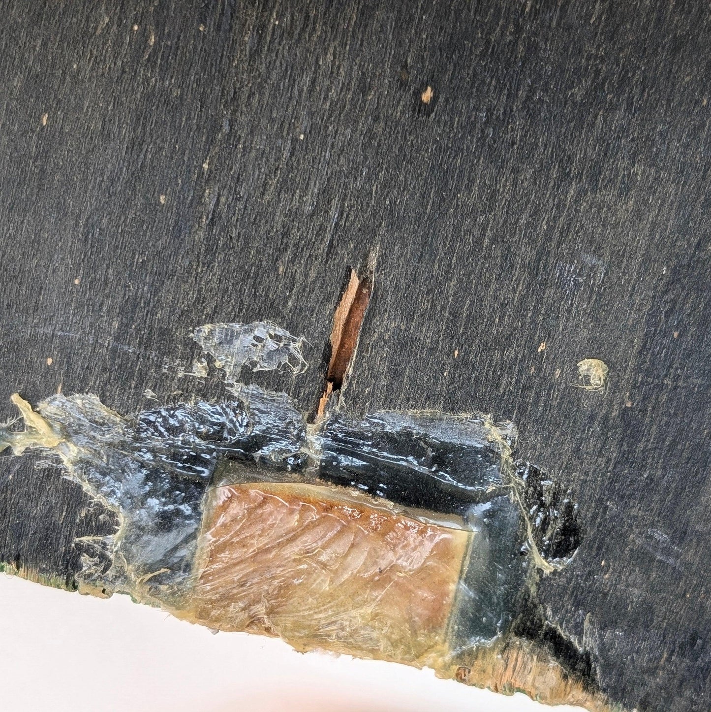 Wooden Children's Coat Hook Characters