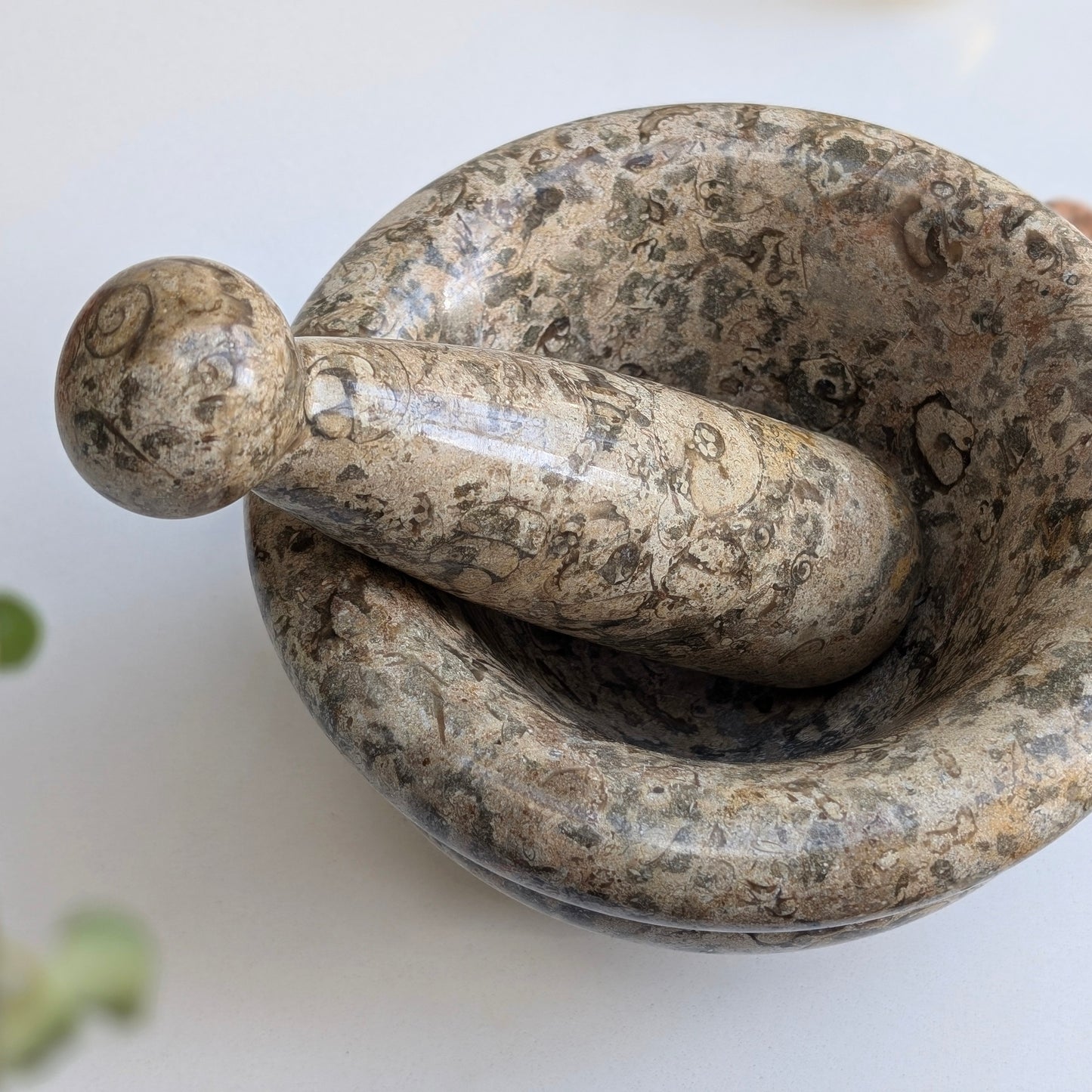 Fossil Stone Pestle and Mortar