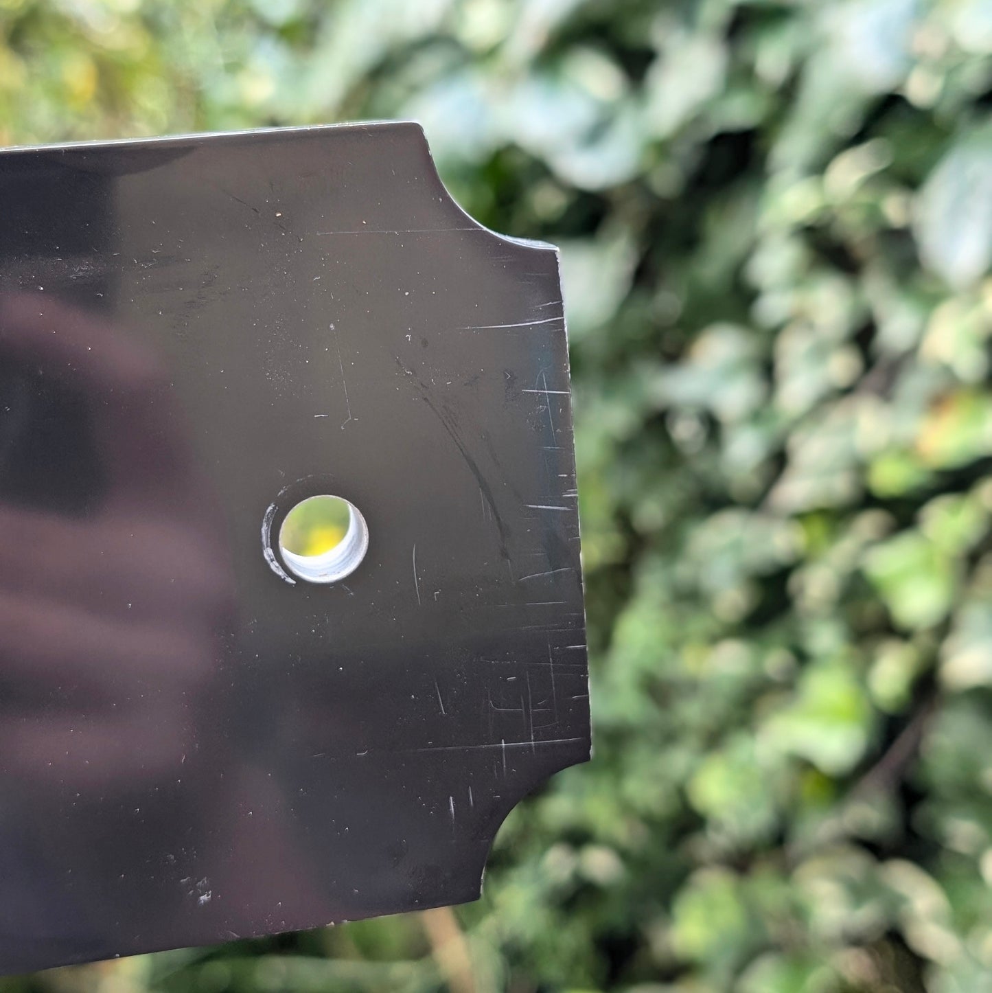 Black and Gold Bar Sign