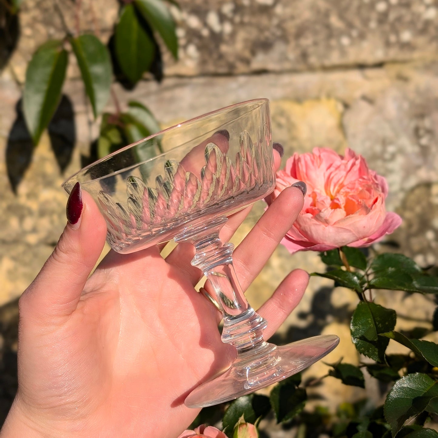 Rare Baccarat Richelieu Style Champagne Coupes