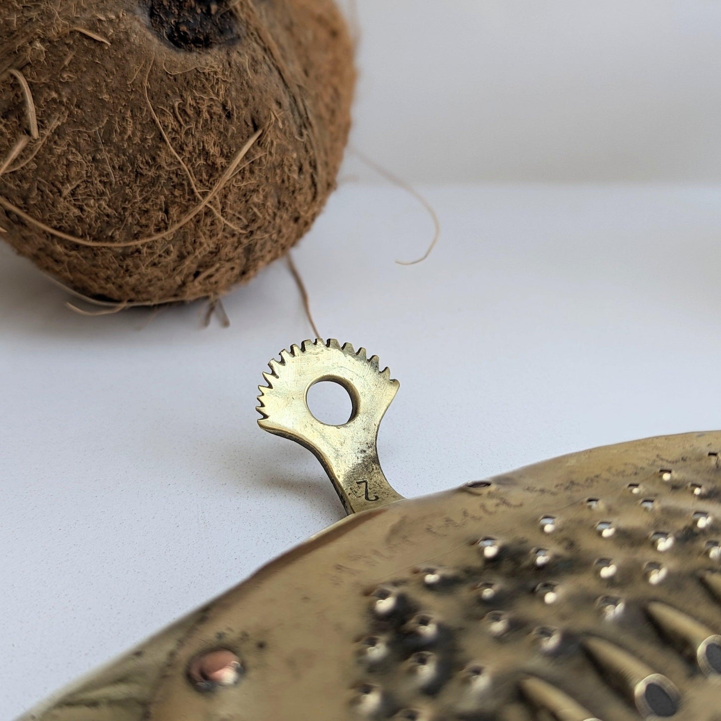 Brass Turtle Coconut Grater