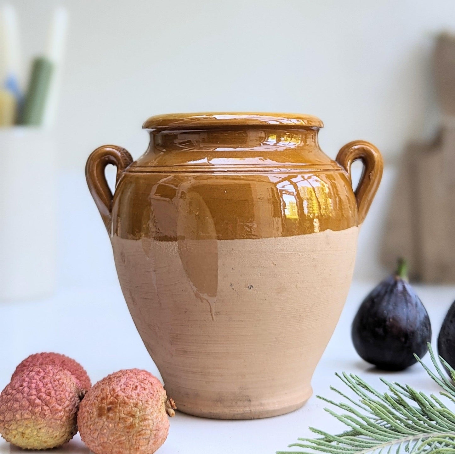 Small Italian Terracotta Urn