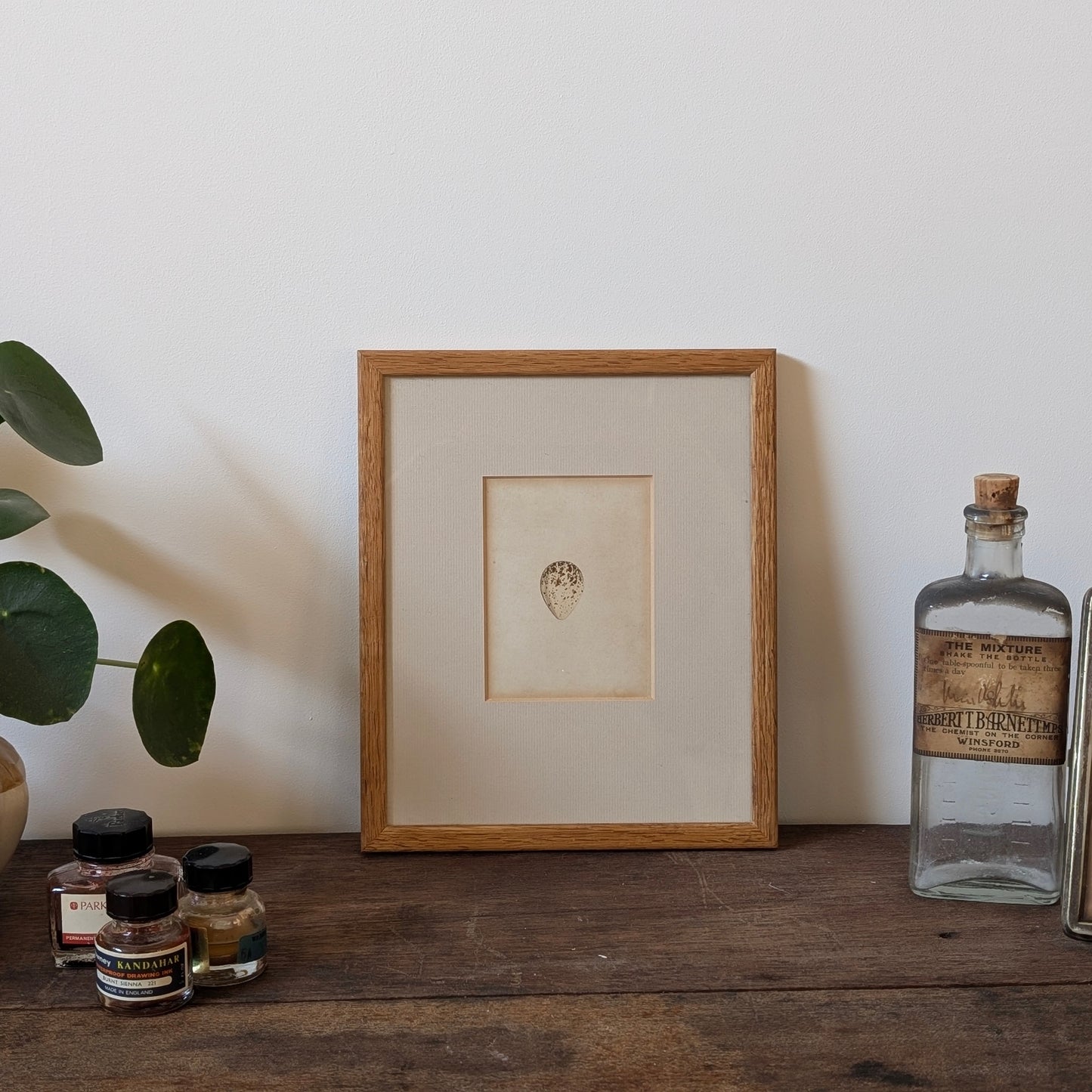 Bird Egg Watercolour/Print (Small White Brown)