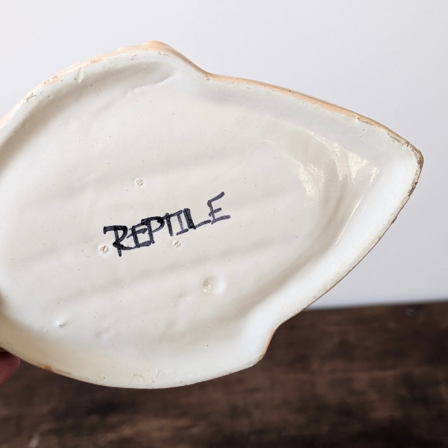 Quirky Fish Soap Dish