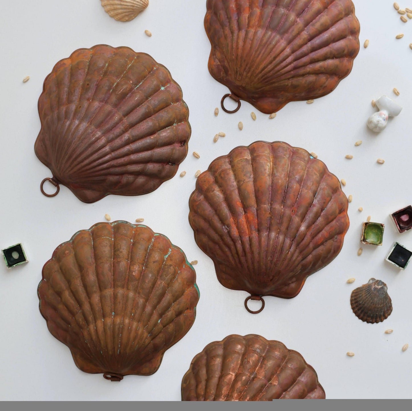Copper Scallop Shell Moulds