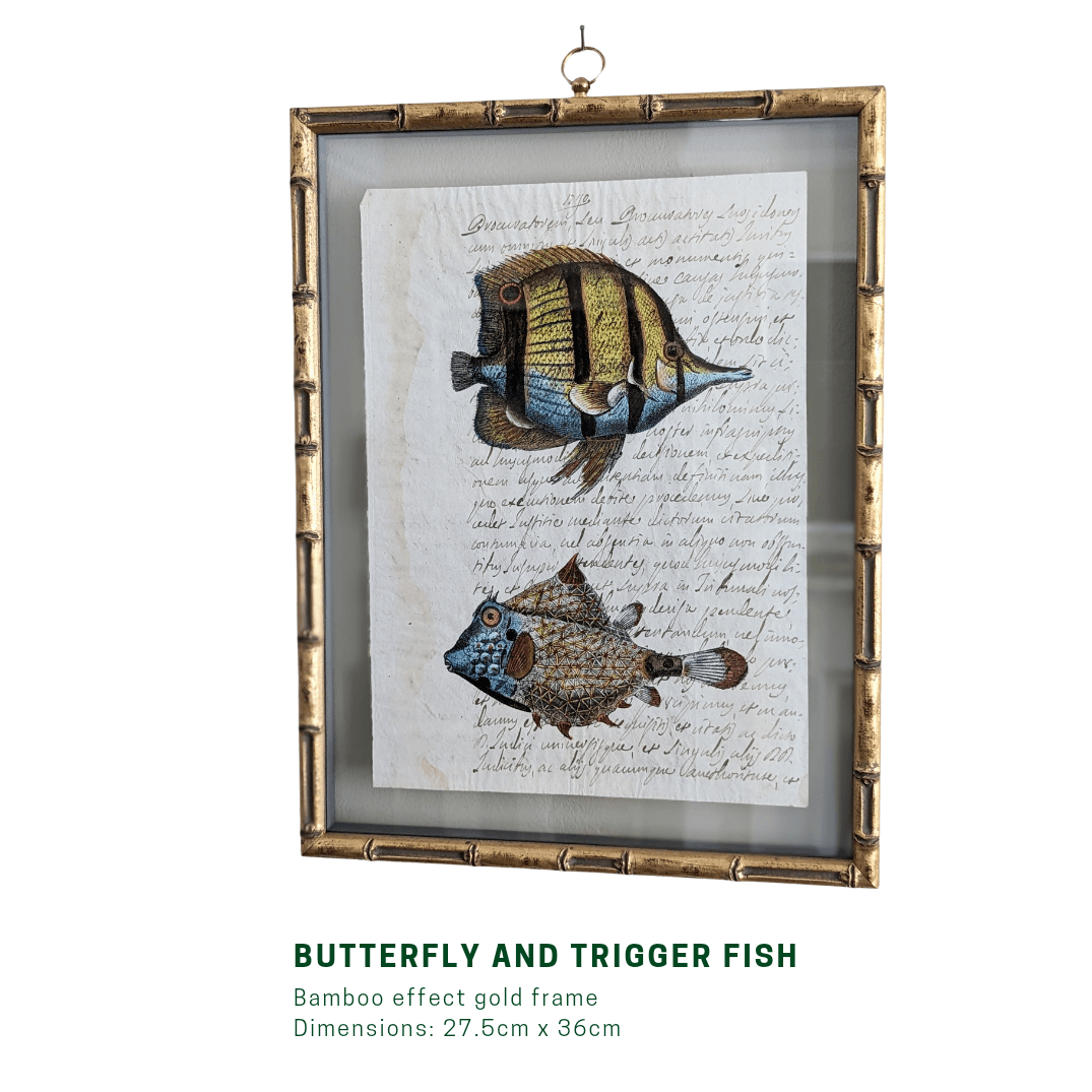 Framed Fish Antique Pages - Bamboo (3 styles)