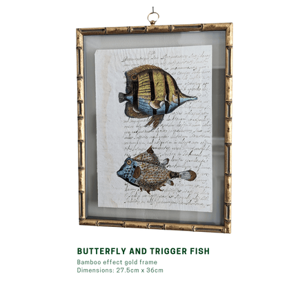 Framed Fish Antique Pages - Bamboo (3 styles)