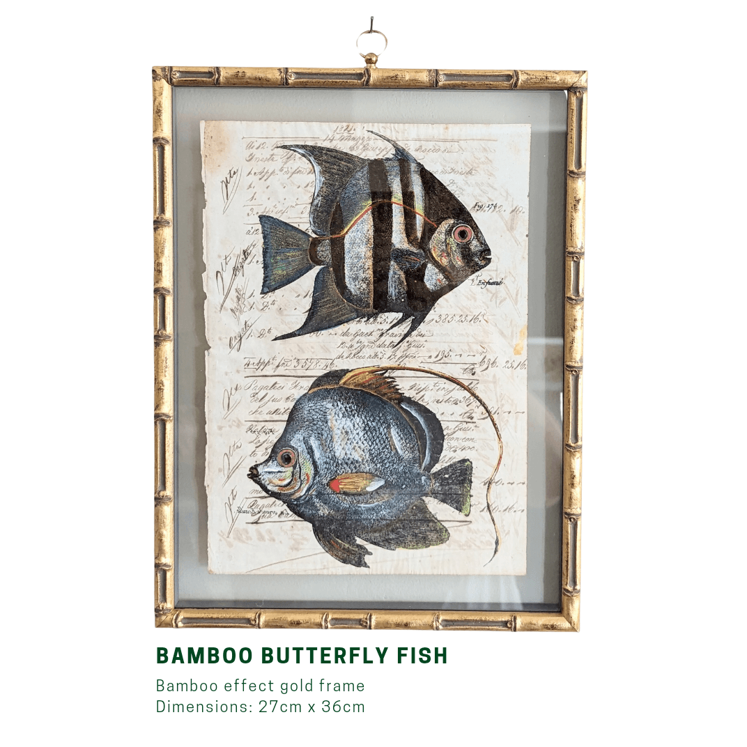 Framed Fish Antique Pages - Bamboo (3 styles)