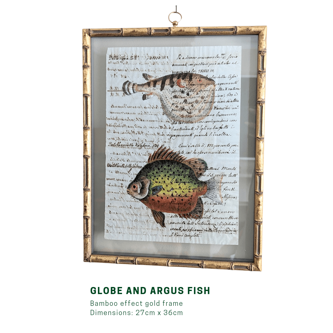 Framed Fish Antique Pages - Bamboo (3 styles)