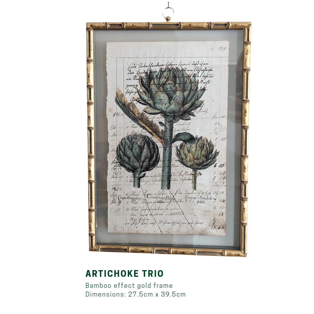 Framed Artichoke Antique Pages - Bamboo (2 styles)