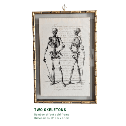 Framed Skeleton Antique Pages - Bamboo (3 styles)