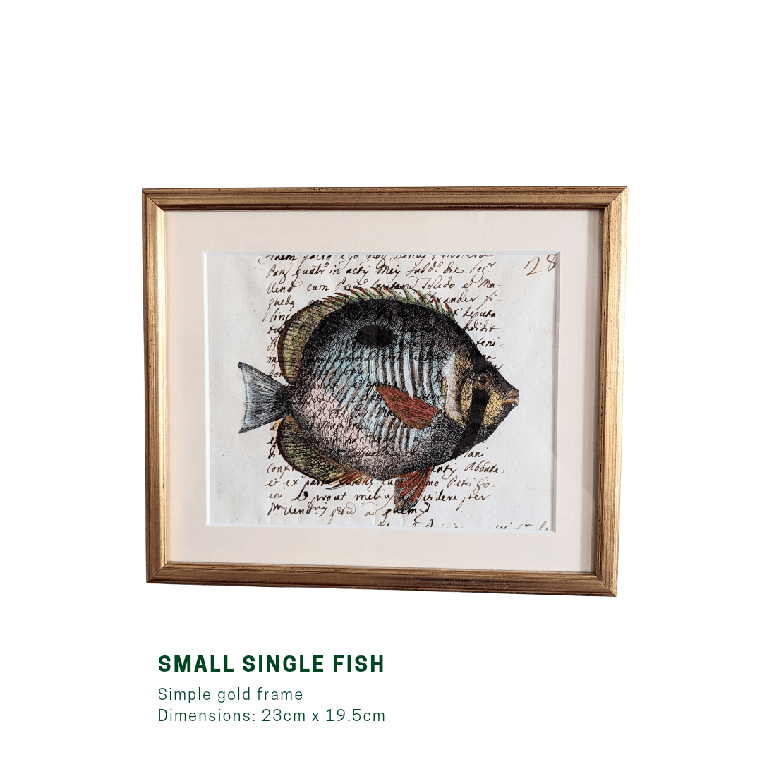 Framed Fish Antique Pages- Sleek Gold (4 styles)