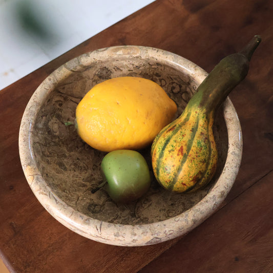 Stone Fossil Bowl