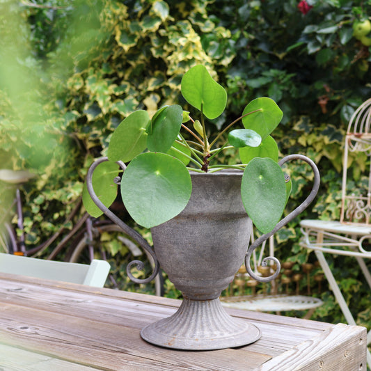 Metal Urn Planter/Floral Centrepiece