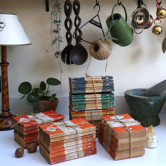 Vintage Penguin Book Bundles