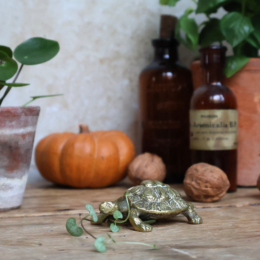 Brass Turtle Ornament