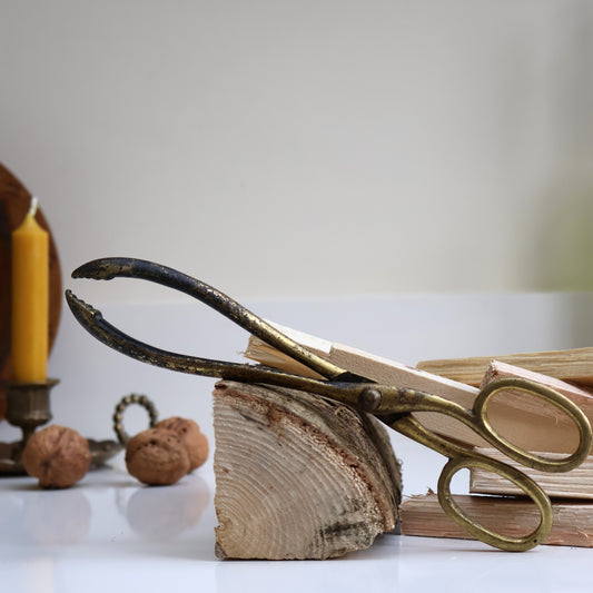 Brass Coal Tongs