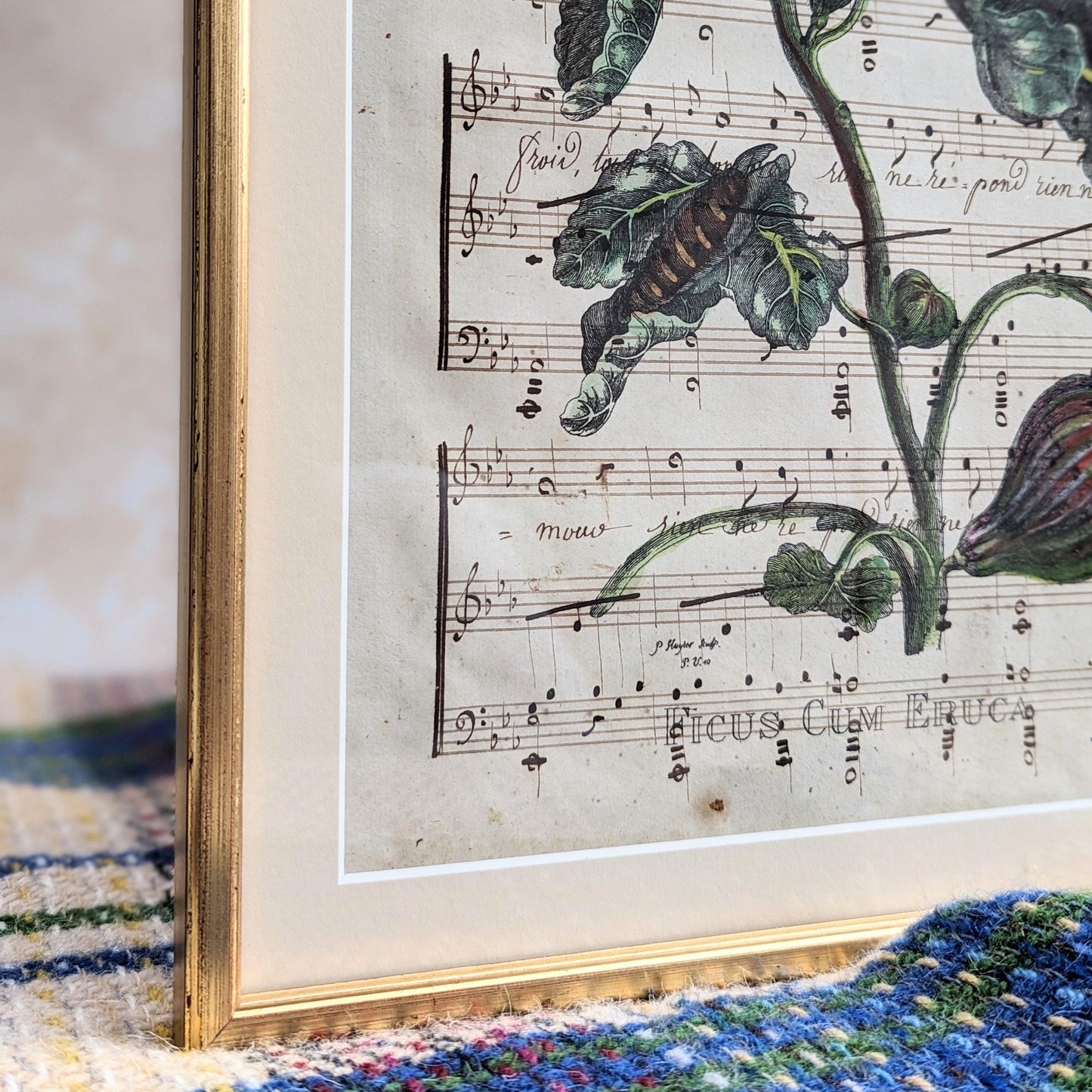 Framed Butterfly Antique Pages - Sleek Gold (2 styles)