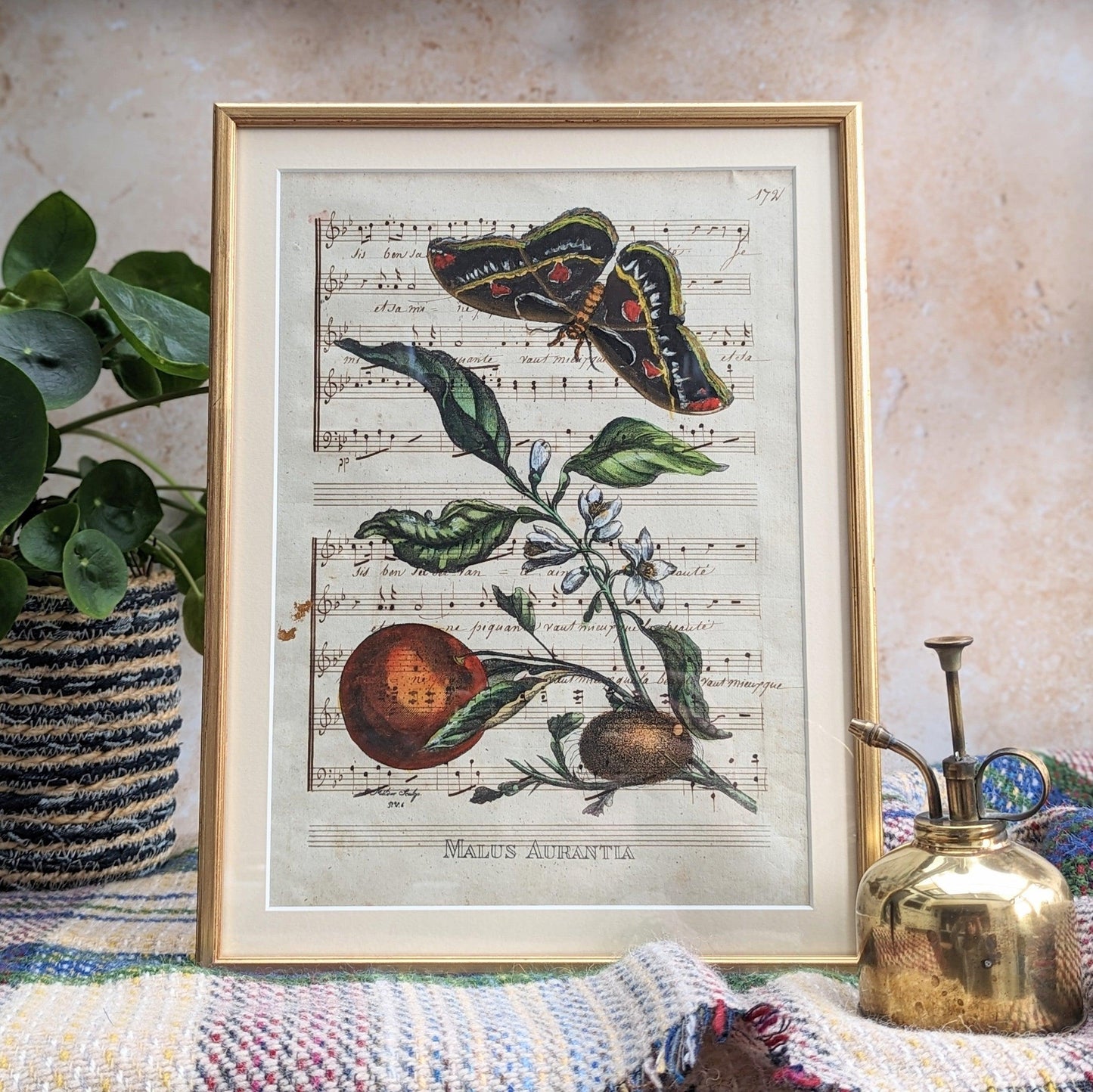 Framed Butterfly Antique Pages - Sleek Gold (2 styles)