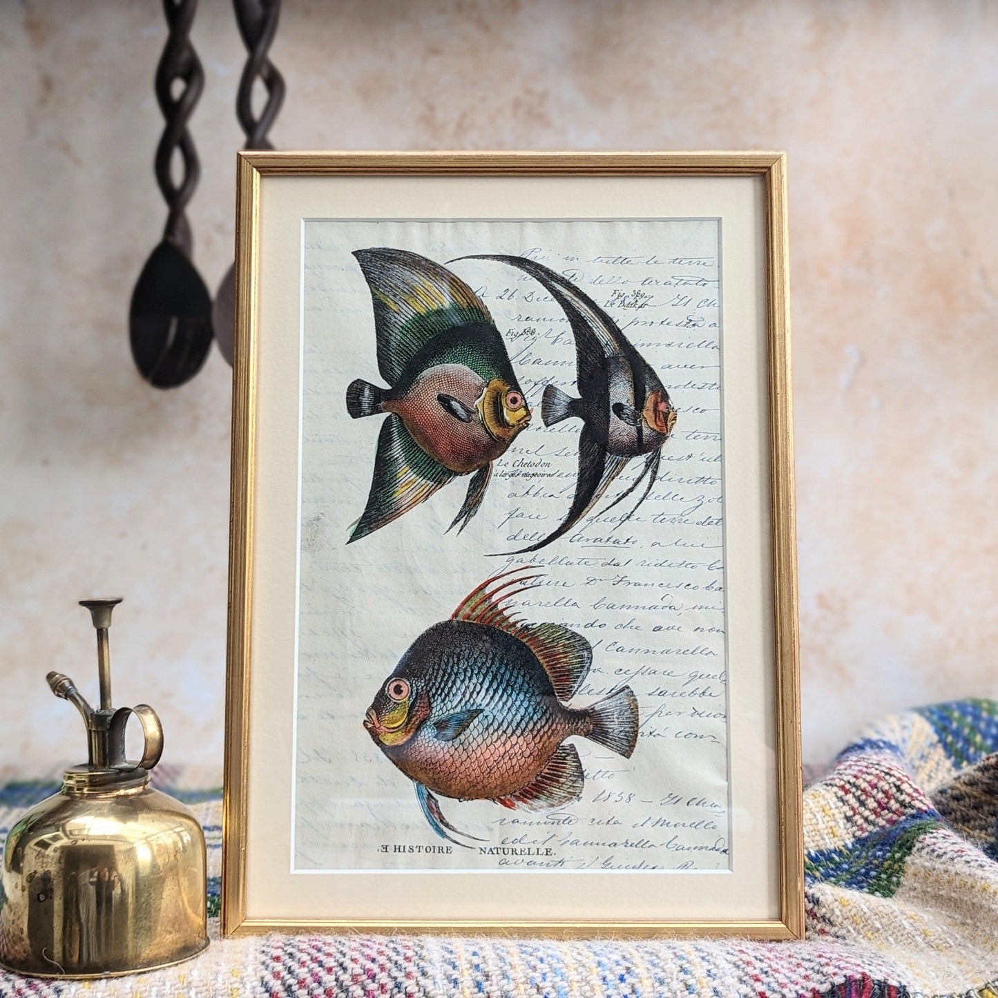 Framed Fish Antique Pages- Sleek Gold (4 styles)