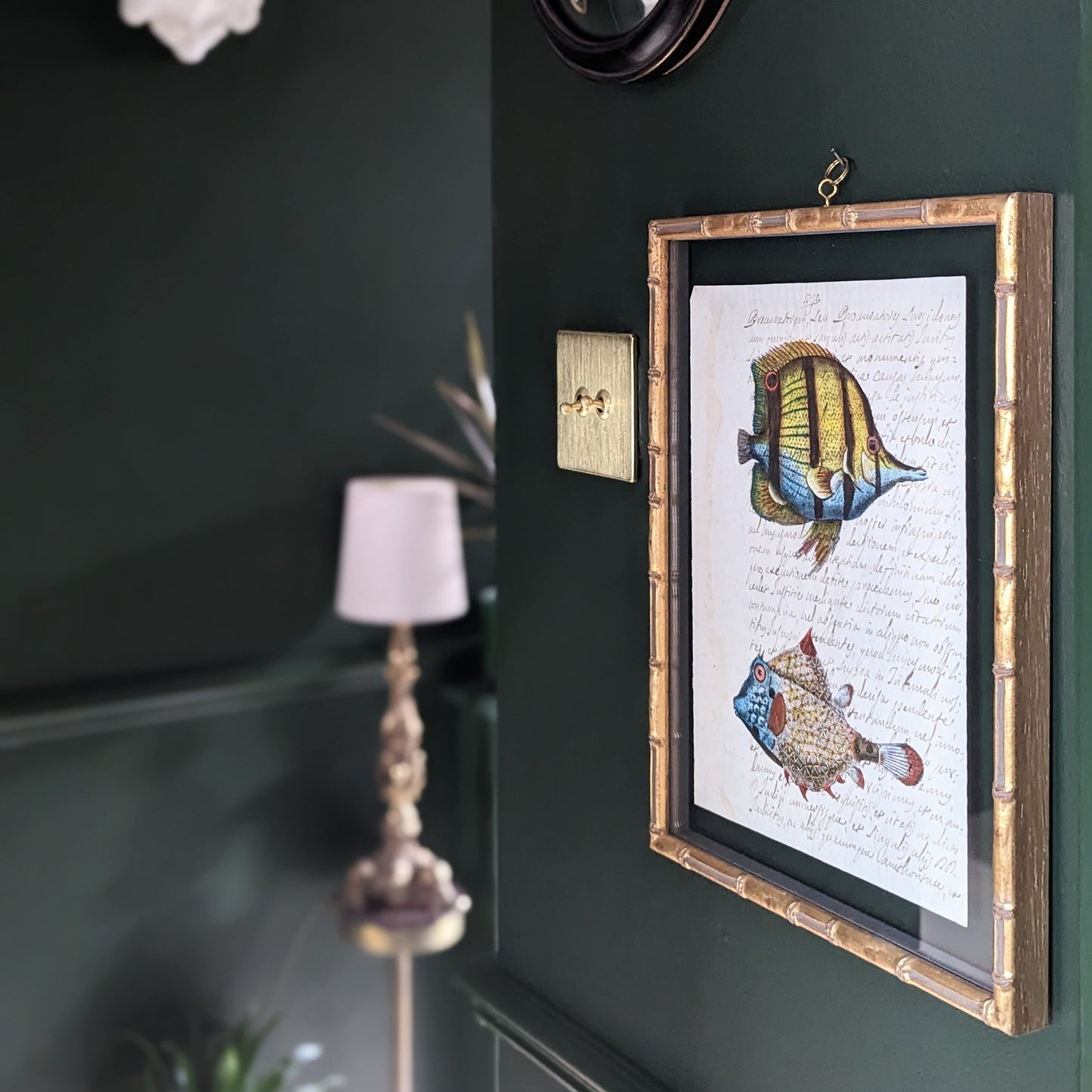 Framed Fish Antique Pages - Bamboo (3 styles)