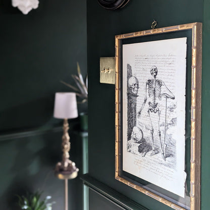 Framed Skeleton Antique Pages - Bamboo (3 styles)