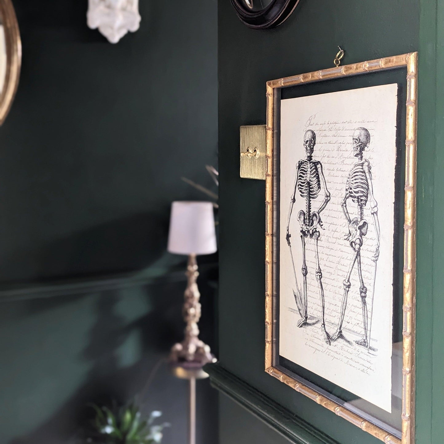 Framed Skeleton Antique Pages - Bamboo (3 styles)