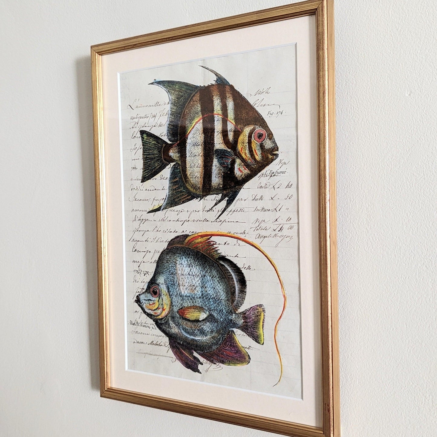 Framed Fish Antique Pages- Sleek Gold (4 styles)