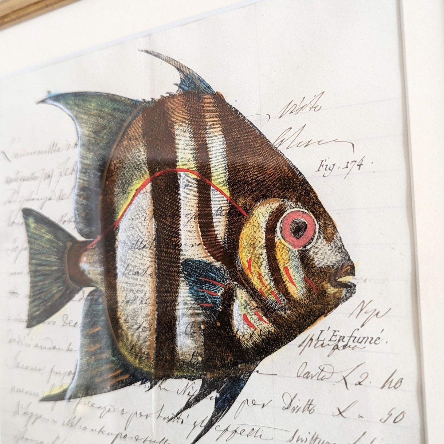 Framed Fish Antique Pages- Sleek Gold (4 styles)