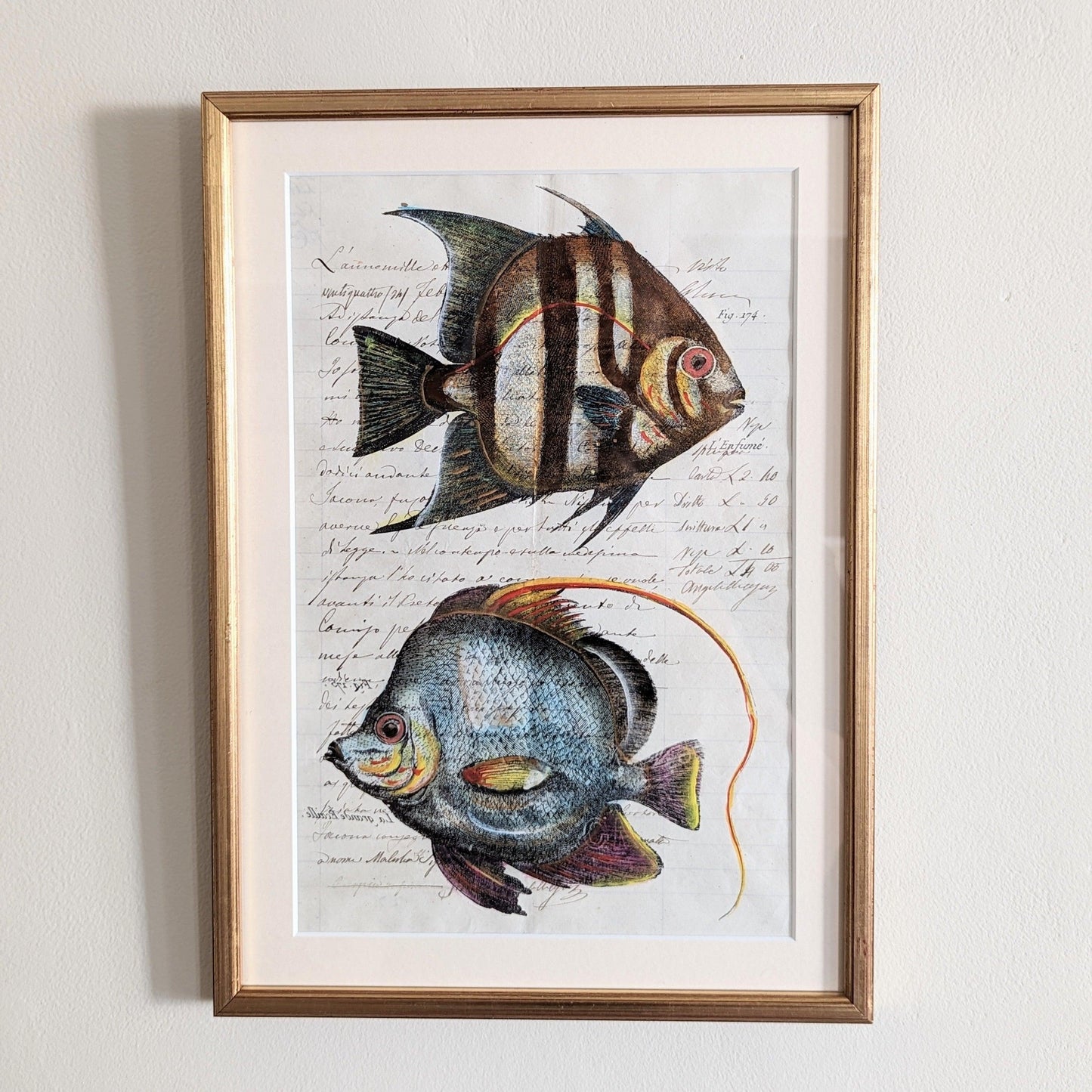 Framed Fish Antique Pages- Sleek Gold (4 styles)