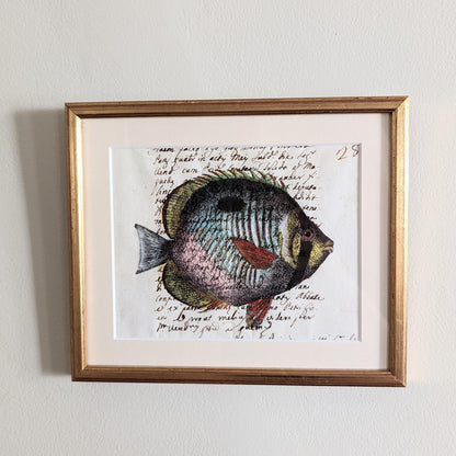 Framed Fish Antique Pages- Sleek Gold (4 styles)