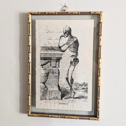 Framed Skeleton Antique Pages - Bamboo (3 styles)