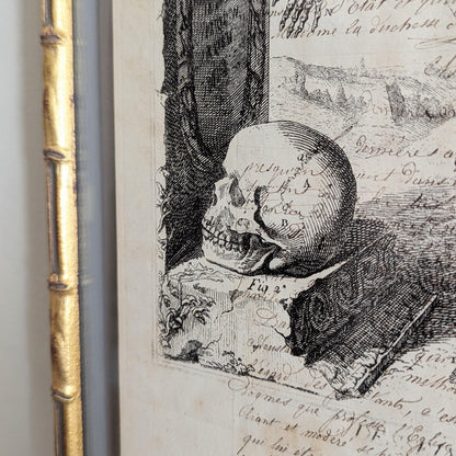 Framed Skeleton Antique Pages - Bamboo (3 styles)