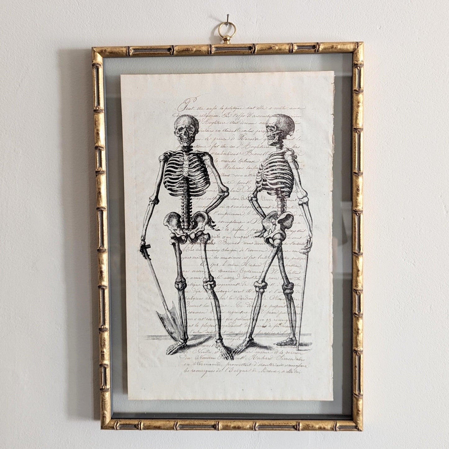 Framed Skeleton Antique Pages - Bamboo (3 styles)