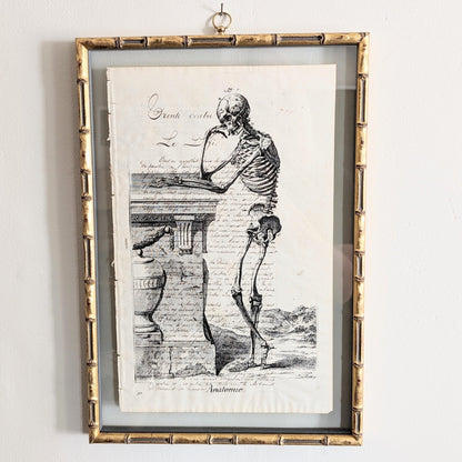 Framed Skeleton Antique Pages - Bamboo (3 styles)