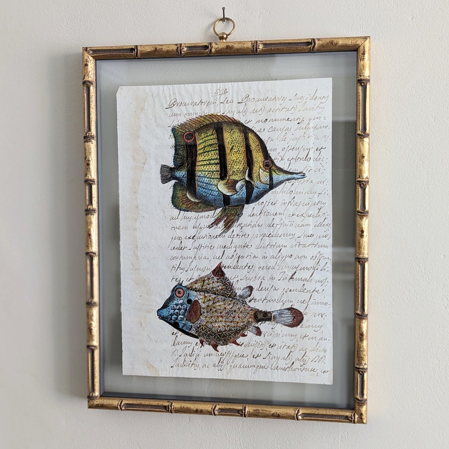 Framed Fish Antique Pages - Bamboo (3 styles)