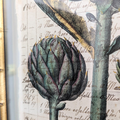 Framed Artichoke Antique Pages - Bamboo (2 styles)