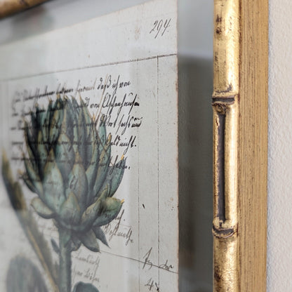 Framed Artichoke Antique Pages - Bamboo (2 styles)