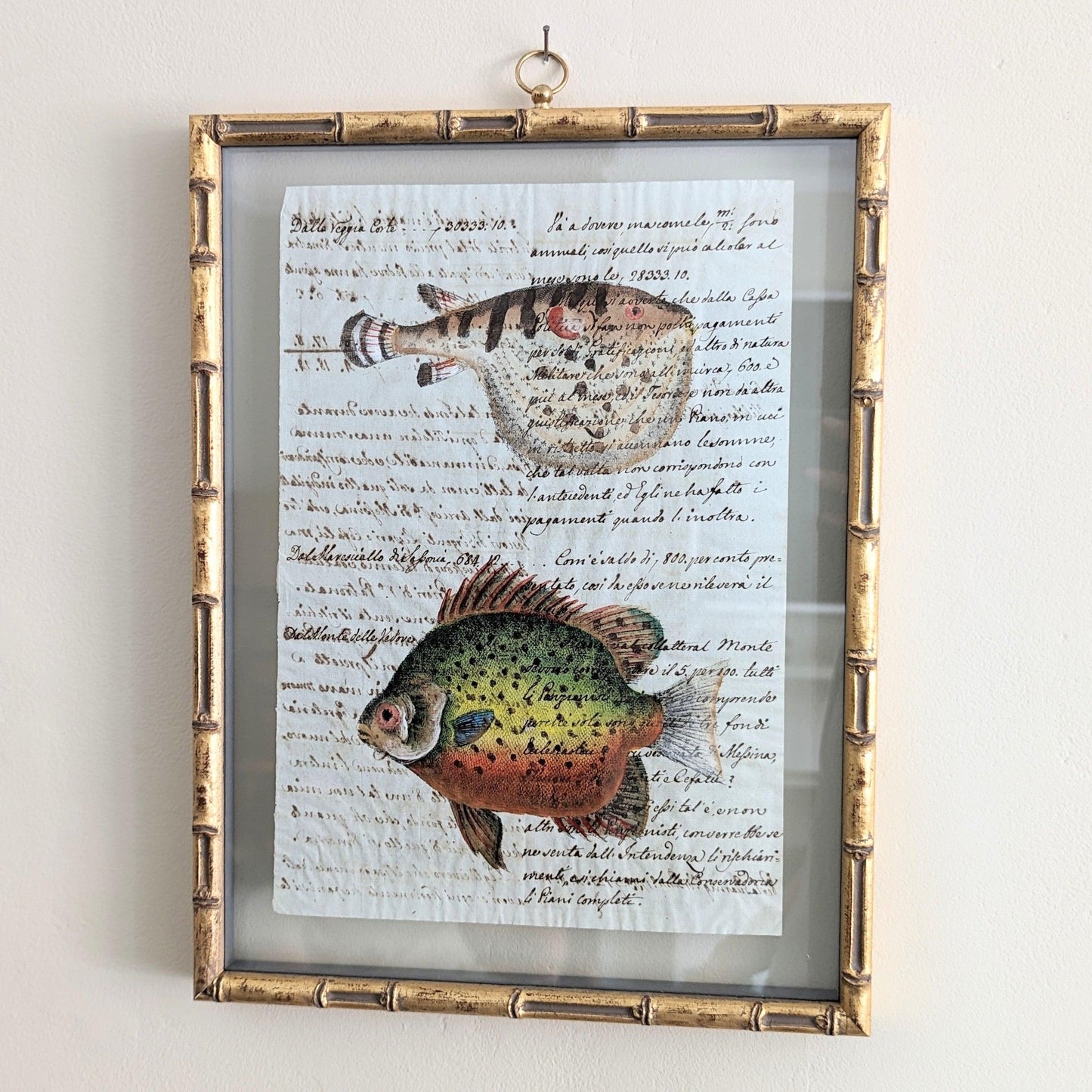 Framed Fish Antique Pages - Bamboo (3 styles)