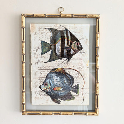 Framed Fish Antique Pages - Bamboo (3 styles)