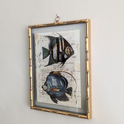 Framed Fish Antique Pages - Bamboo (3 styles)