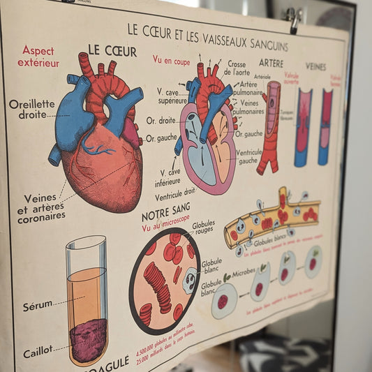 Vintage French Poster - Heart/Absorption/Swallowing