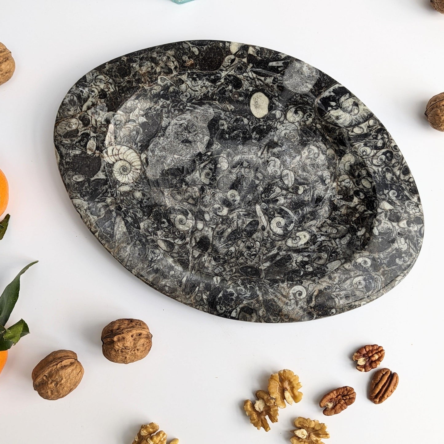 Stone Fossil Platter